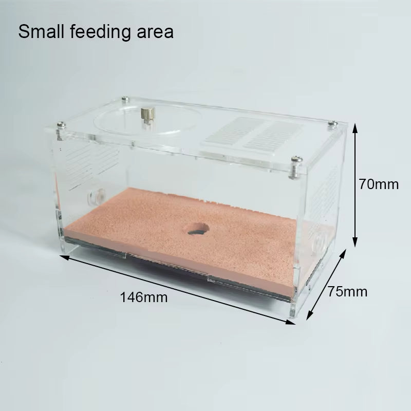 Acrylic Ant Farm Unlimited Expansion Ant Nest with Feeding Area Moisturizing Water Tower Concrete Ant House Anthill Pet Workshop