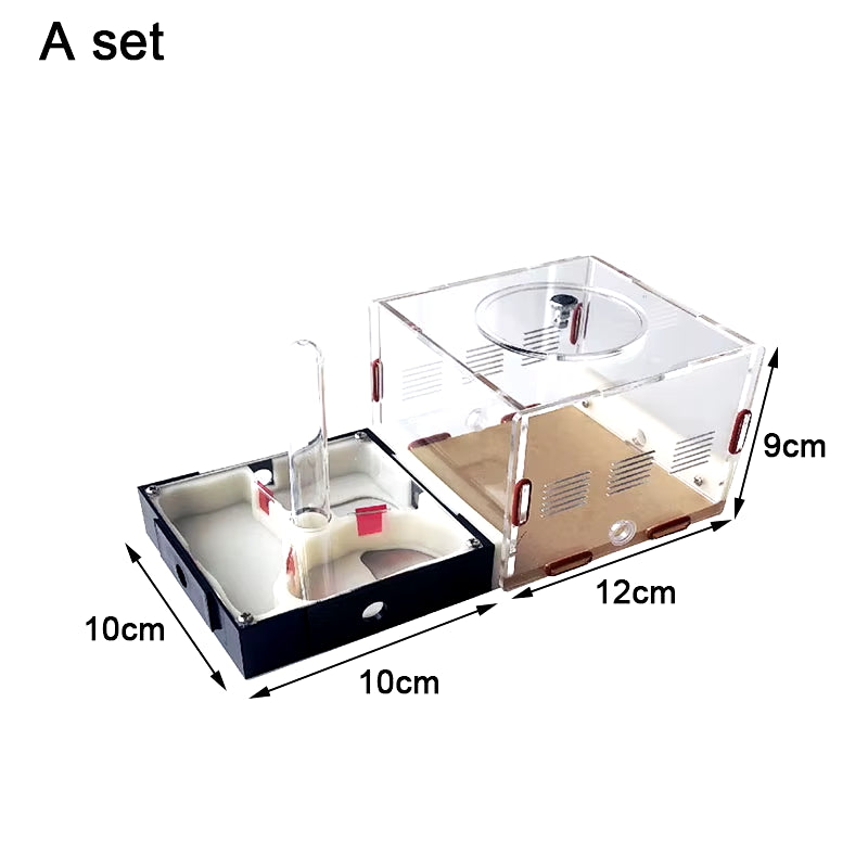 Unlimited Expansion Ant Farm Acrylic Ant Nest with Feeding Area Gypsum Pet Anthill Workshop Ant House Moisturizing Water Tower