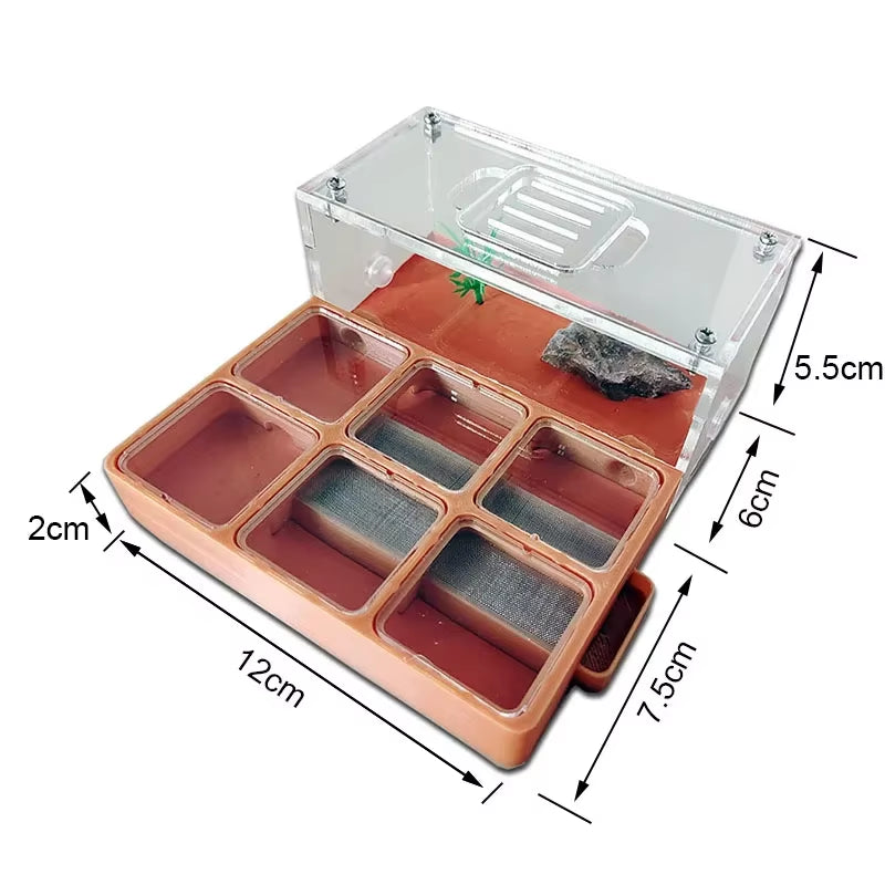 3D Concrete Flat Ant Farm Ecological Ant Nest with Drinker Pet Anthill Workshop Moisturizing Ant House with Hunting Area Insect