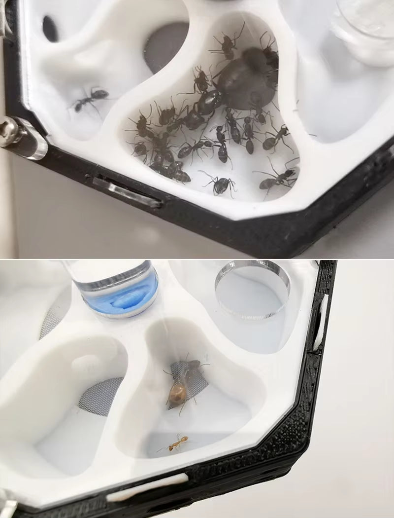 NEW 3D Print Ant Farm Space Station with Moisturizing Tower Unlimited Expansion Ant Nest Pet Anthill Workshop Honeycomb Design