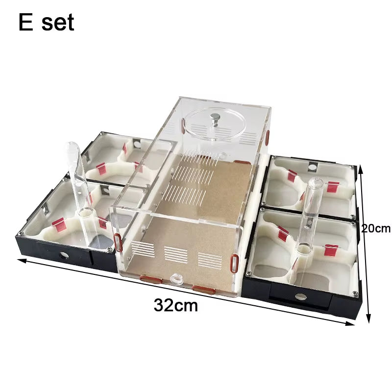 Unlimited Expansion Ant Farm Acrylic Ant Nest with Feeding Area Gypsum Pet Anthill Workshop Ant House Moisturizing Water Tower