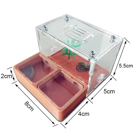 3D Concrete Flat Ant Farm Ecological Ant Nest with Drinker Pet Anthill Workshop Moisturizing Ant House with Hunting Area Insect