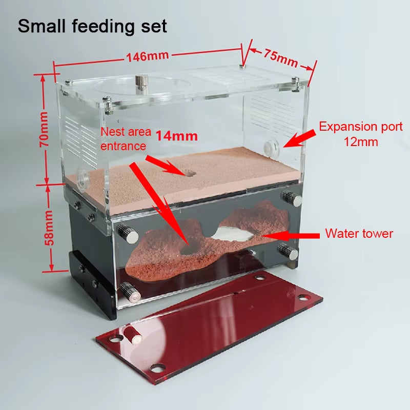 Acrylic Ant Farm Unlimited Expansion Ant Nest with Feeding Area Moisturizing Water Tower Concrete Ant House Anthill Pet Workshop