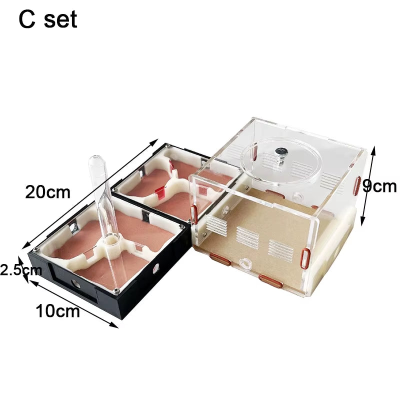 Unlimited Expansion Ant Farm Acrylic Ant Nest with Feeding Area Gypsum Pet Anthill Workshop Ant House Moisturizing Water Tower