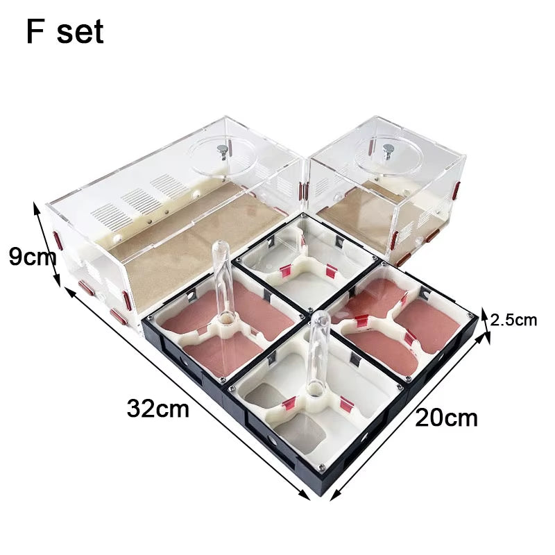 Unlimited Expansion Ant Farm Acrylic Ant Nest with Feeding Area Gypsum Pet Anthill Workshop Ant House Moisturizing Water Tower