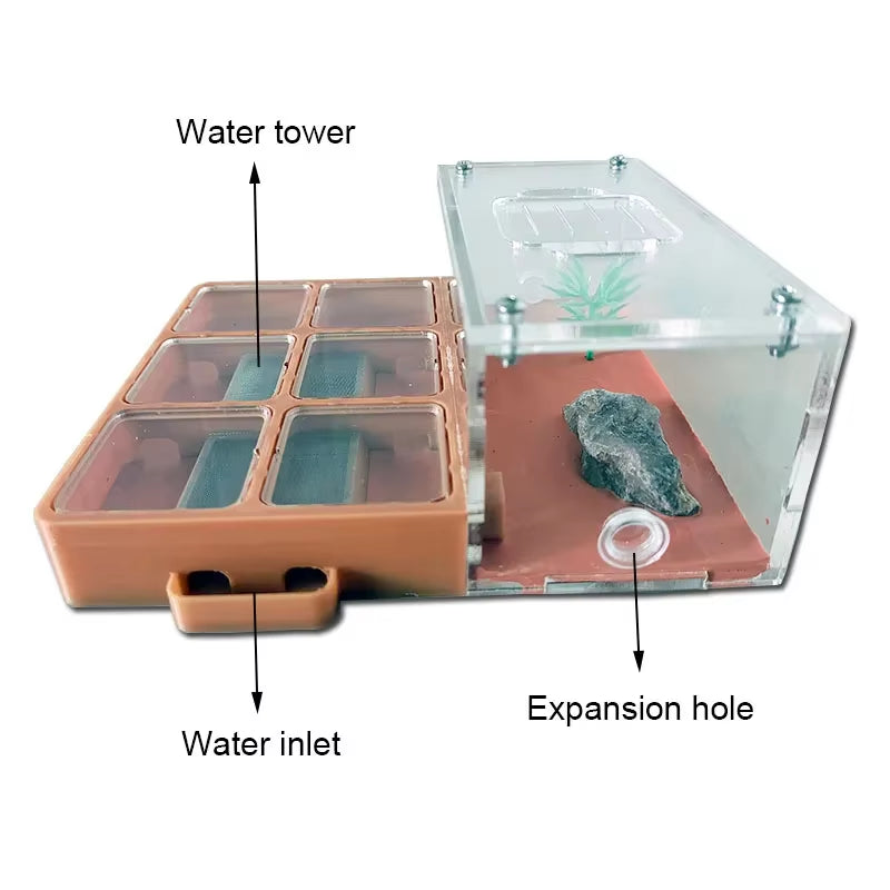 3D Concrete Flat Ant Farm Ecological Ant Nest with Drinker Pet Anthill Workshop Moisturizing Ant House with Hunting Area Insect