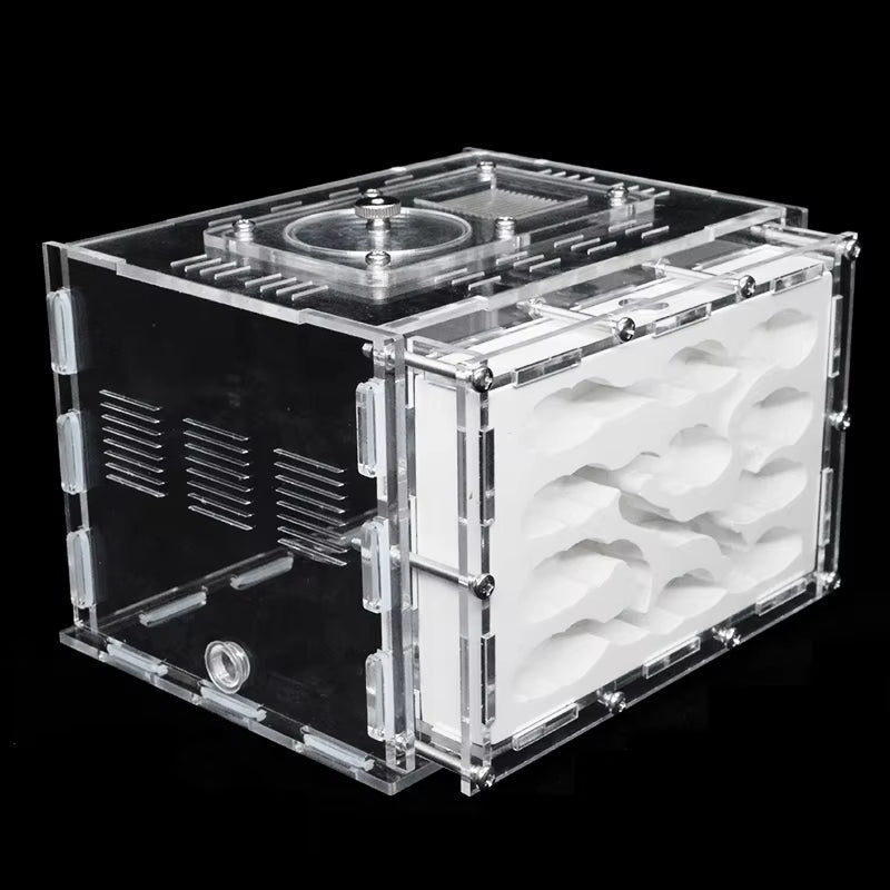 DIY Acrylic Ant Farm Gypsum Ecological Ant House for Pet Anthill Ant Nest Workshop with Feeding Area Insect Villa Castle