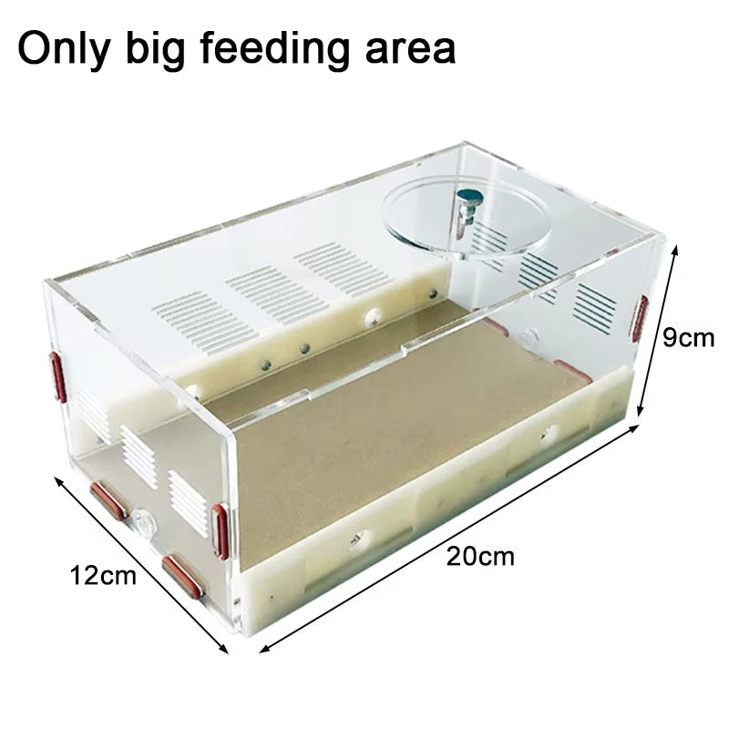 Unlimited Expansion Ant Farm Acrylic Ant Nest with Feeding Area Gypsum Pet Anthill Workshop Ant House Moisturizing Water Tower