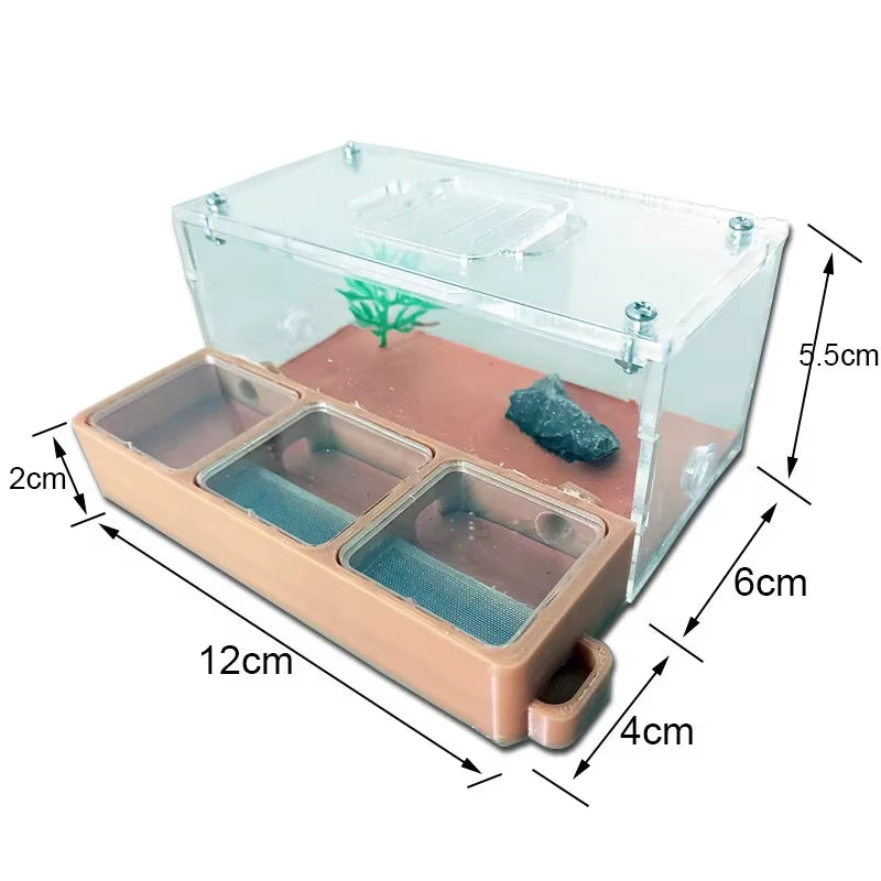 3D Concrete Flat Ant Farm Ecological Ant Nest with Drinker Pet Anthill Workshop Moisturizing Ant House with Hunting Area Insect