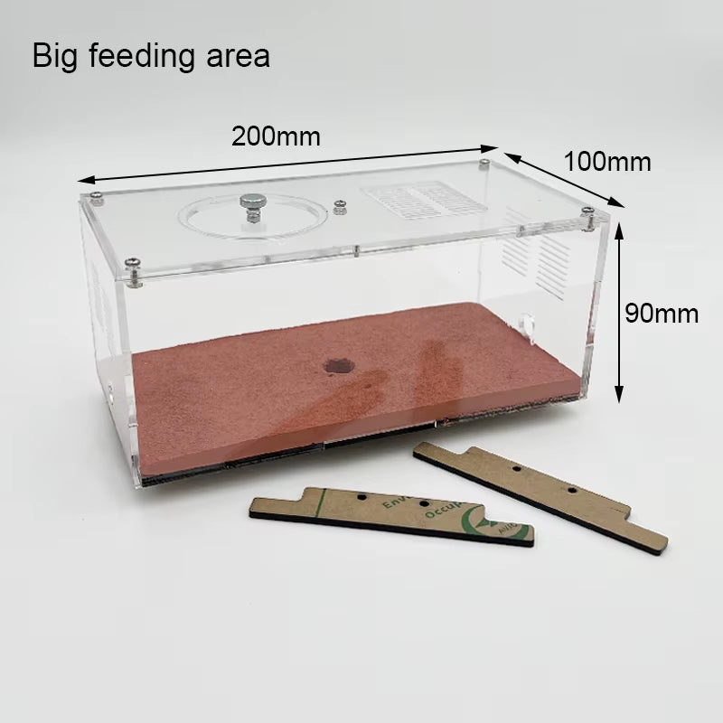 Acrylic Ant Farm Unlimited Expansion Ant Nest with Feeding Area Moisturizing Water Tower Concrete Ant House Anthill Pet Workshop