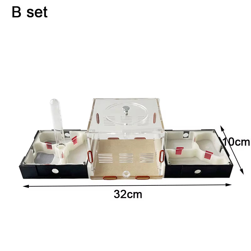 Unlimited Expansion Ant Farm Acrylic Ant Nest with Feeding Area Gypsum Pet Anthill Workshop Ant House Moisturizing Water Tower