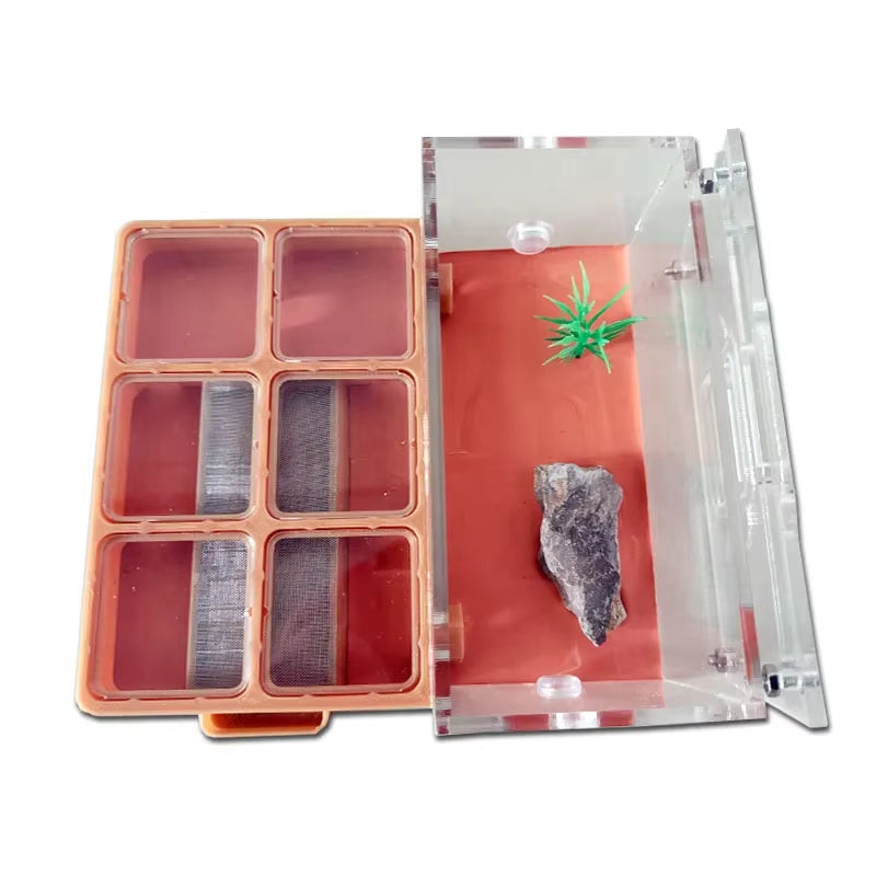 3D Concrete Flat Ant Farm Ecological Ant Nest with Drinker Pet Anthill Workshop Moisturizing Ant House with Hunting Area Insect