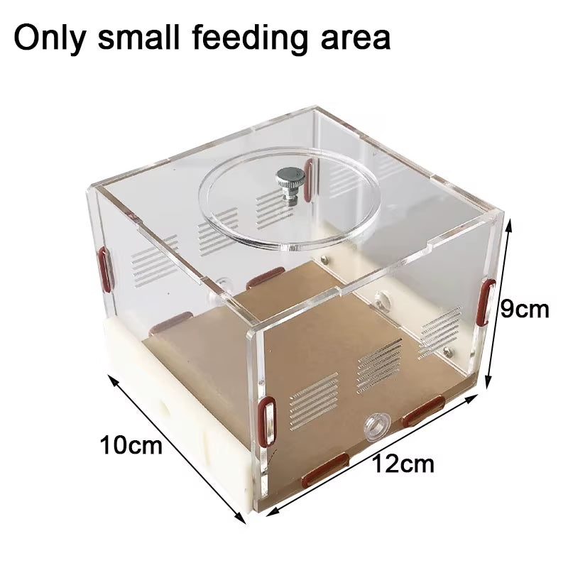 Unlimited Expansion Ant Farm Acrylic Ant Nest with Feeding Area Gypsum Pet Anthill Workshop Ant House Moisturizing Water Tower